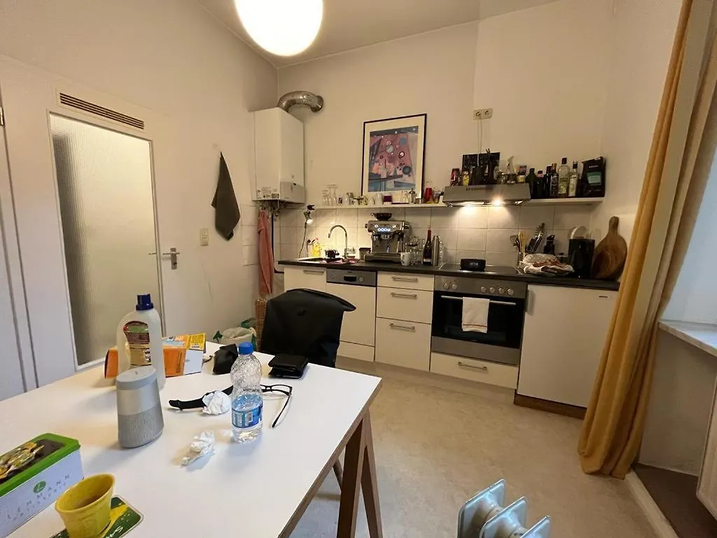 Grosse Wohnung In Der Isarvorstadt Monachium